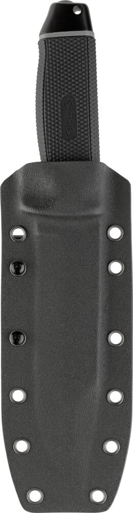 Walther WB 150 – Bild 3